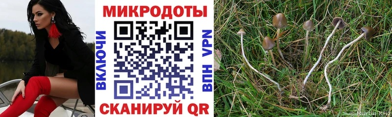 Псилоцибиновые грибы GOLDEN TEACHER Болотное